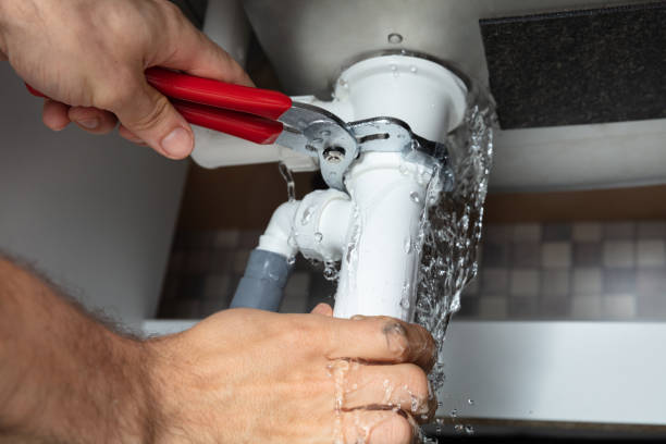 Best Flood restoration services  in Walthourville, GA