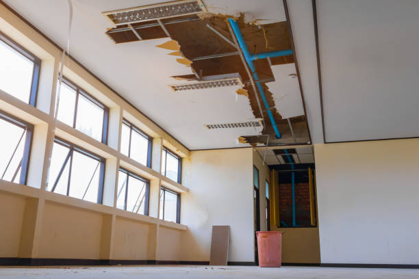Best Water damage restoration near me  in Walthourville, GA