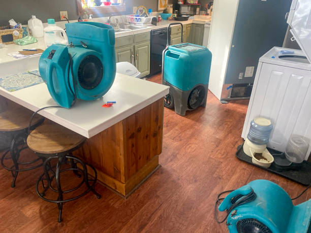 Best 24-hour water damage restoration  in Walthourville, GA