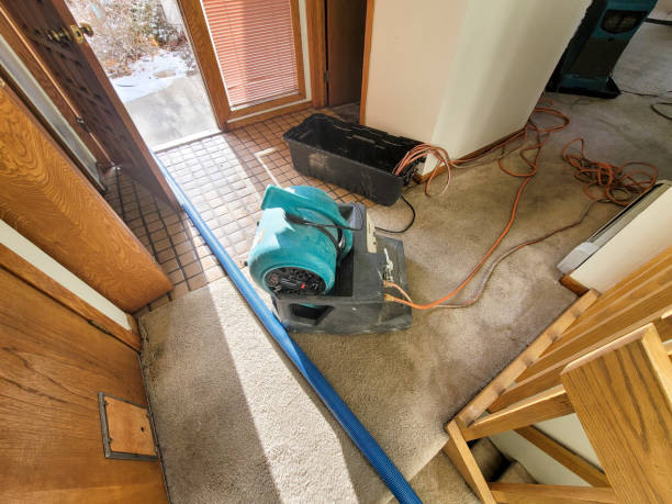 Best Local water damage restoration  in Walthourville, GA