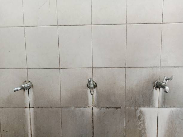 Best Flooded house restoration  in Walthourville, GA