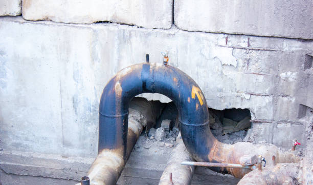 Best Water damage cleanup near me  in Walthourville, GA