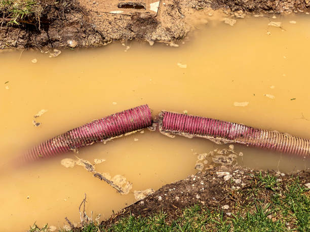 Best Water damage restoration cost  in Walthourville, GA