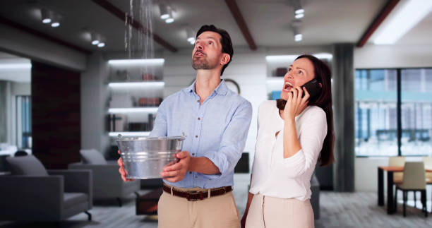  Walthourville, GA Water damage restoration Pros